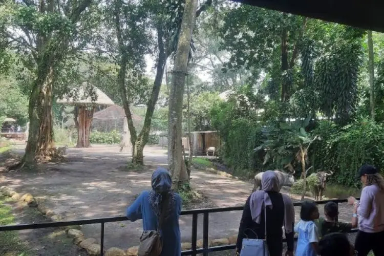 Hari Terakhir Libur Lebaran, Kebun Binatang Bandung Ramai Dikunjungi Wisatawan