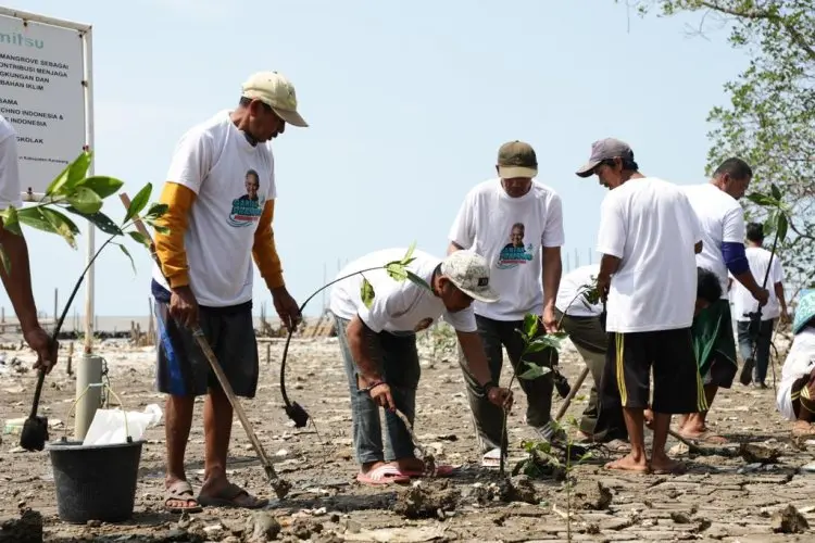 Relawan Ganjar Tanam Mangrove dan Berikan Bantuan Lampu Pada Para Nelayan