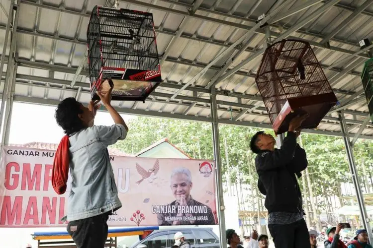 GMP Gelar Turnamen Kicau Burung, Ratusan Kicau Mania Hadir