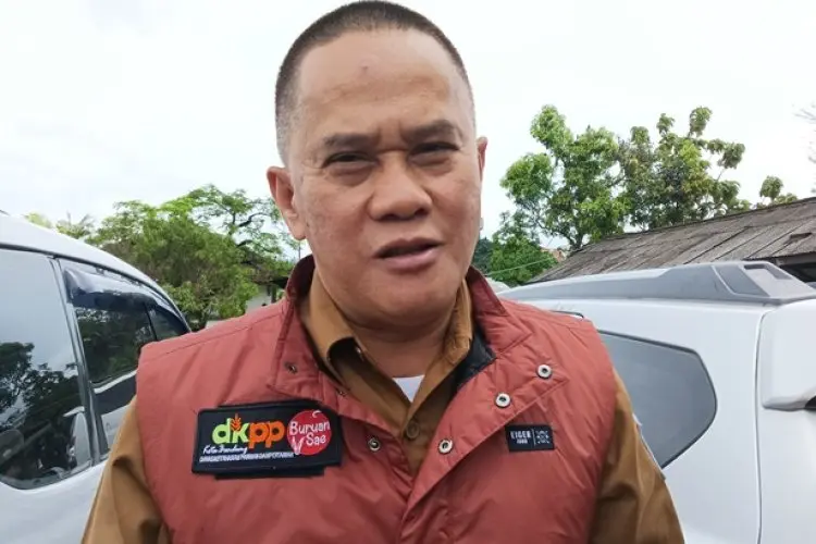 Jumlah Hewan Kurban di Kota Bandung pada Tahun Ini Diprediksi Meningkat 30 Persen