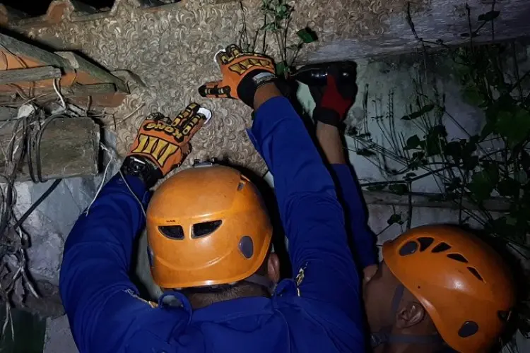 Damkar Evakuasi Sarang Tawon Jumbo di Sekretariat PWI KBB