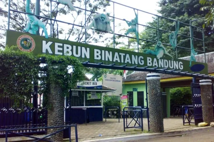 Miris Puluhan Orang Tertipu Lowongan Kerja di Bandung Zoo
