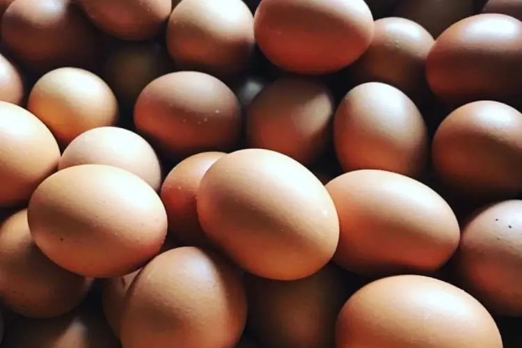 Harga Telur Meroket, Dispernakan KBB Ungkap Faktor Pemicunya 