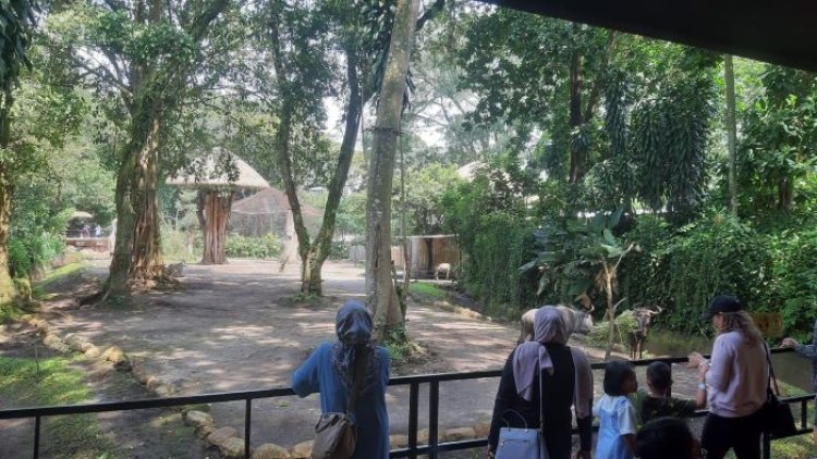 Hari Terakhir Libur Lebaran, Kebun Binatang Bandung Ramai Dikunjungi Wisatawan