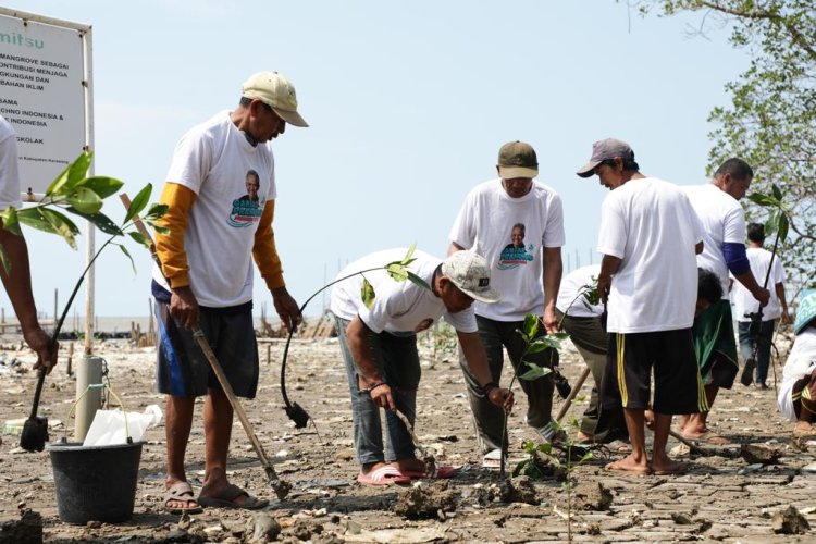 Relawan Ganjar Tanam Mangrove dan Berikan Bantuan Lampu Pada Para Nelayan