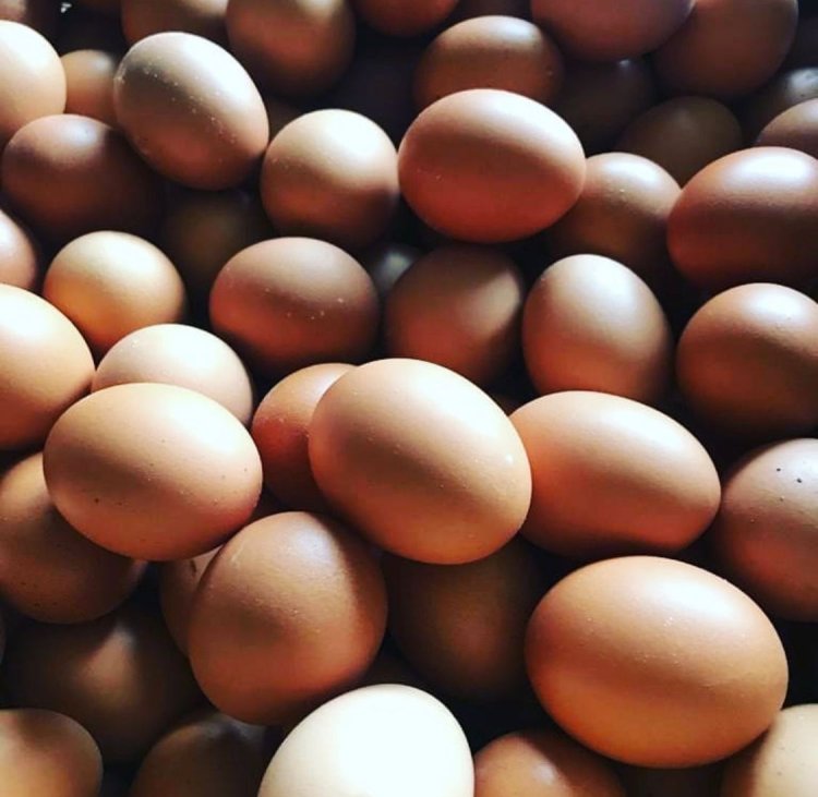 Harga Telur Meroket, Dispernakan KBB Ungkap Faktor Pemicunya 