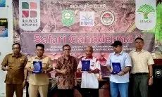 Petani Sawit Rakyat di Bekali Antisipasi Ancaman Ganoderma Boninense 