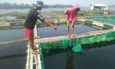 Remaja Asal NTT Nekat Seberangi Pulau hingga ke KBB Demi Bisa Terus Sekolah dan Gapai Cita-cita