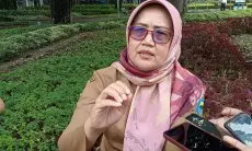 Begini Alur Permohonan Penebangan Pohon di Kota Bandung