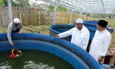 SDG Latih Santri Milenial di Sukabumi Budidaya Ikan Nila