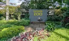 Pengambilalihan Bandung Zoo oleh Pemkot Bandung, Pengelola Bilang Lahannya Masih Status Quo