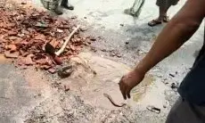 Warga Singajaya Garut Tanam Pisang dan Ikan Lele di Gorong-gorong dan Badan Jalan yang Rusak