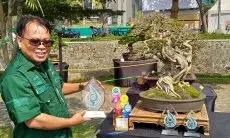 Lebih Dekat Dengan Tedi Priatna Guru Besar UIN yang Juga Penghobi Tanaman Hias Bonsai