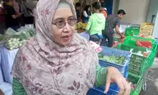 Padi, Kopi dan Manggis Bogor jadi Prioritas Pengembangan Agribisnis