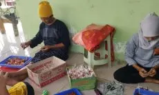 Kreatif ! UMKM Muaragembong Bikin Olahan Kuliner dari Tanaman Mangrove