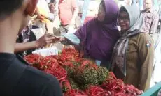 DKPP Kota Bogor Gelar Gerakan Pangan Murah di Balai Kota Bogor Selama Dua Hari