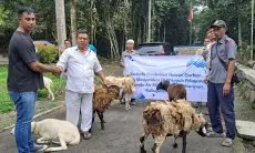 Salurkan Hewan Qurban ke Lingkungan, Ini Pesan Perumda Air Minum Tirta Kahuripan