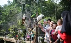 Pemkot Wacanakan Gandeng PKBI Kelola Kebun Binatang Bandung
