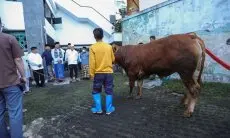 Iduladha di Kota Bandung: Beda Waktu Salat, Penyembelihan Tetap Serempak