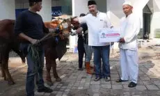 Iduladha 1444 H, PGN Mendistribusikan 368 Hewan Kurban untuk Warga Sekitar Wilayah Operasi