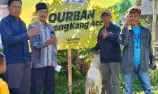 Belasan Sapi dan Kambing Disalurkan Golkar Untuk Masyarakat di Jabar