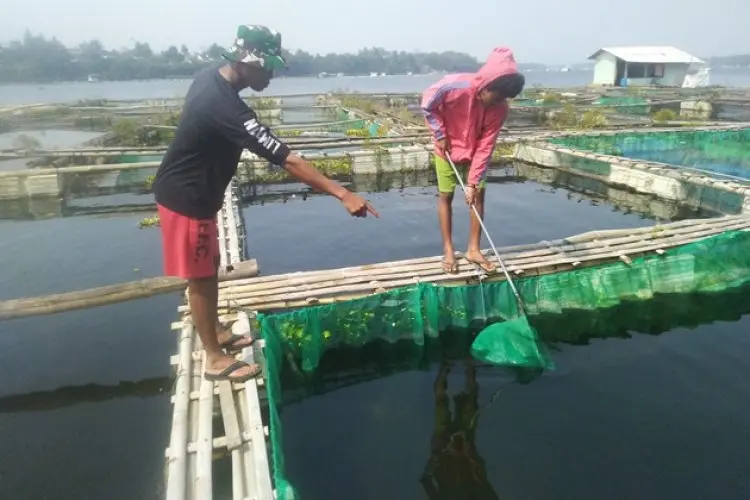 Remaja Asal NTT Nekat Seberangi Pulau hingga ke KBB Demi Bisa Terus Sekolah dan Gapai Cita-cita