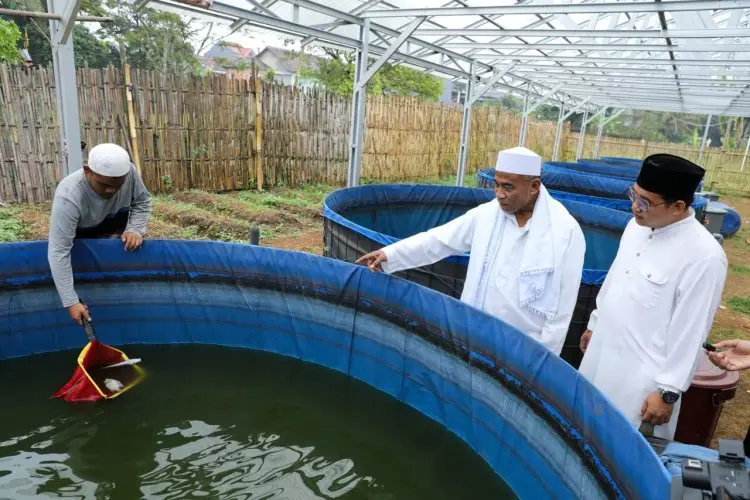 SDG Latih Santri Milenial di Sukabumi Budidaya Ikan Nila