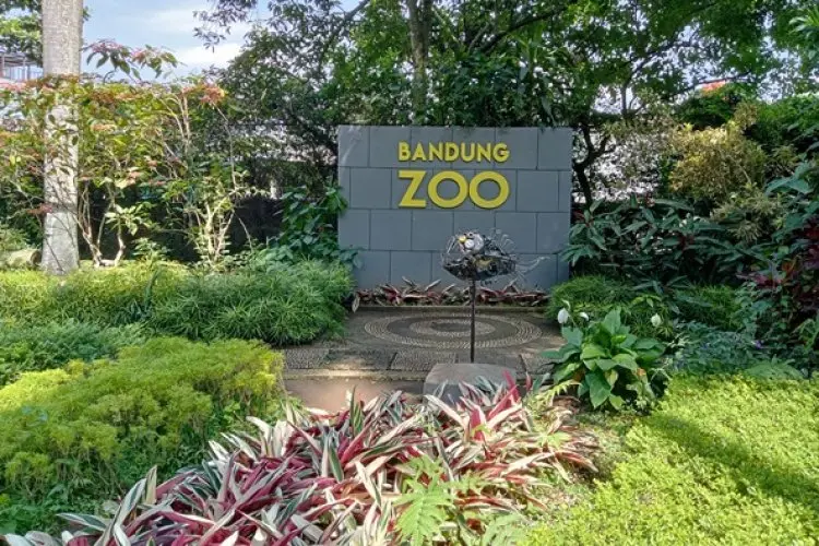 Pengambilalihan Bandung Zoo oleh Pemkot Bandung, Pengelola Bilang Lahannya Masih Status Quo