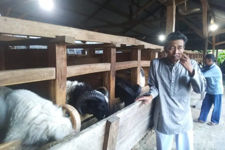 Harga Hewan Kurban di KBB Anjlok, Ini Penyebabnya