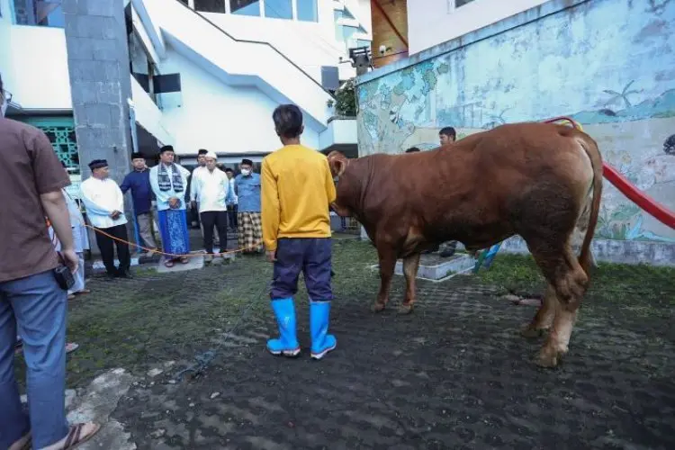 Iduladha di Kota Bandung: Beda Waktu Salat, Penyembelihan Tetap Serempak