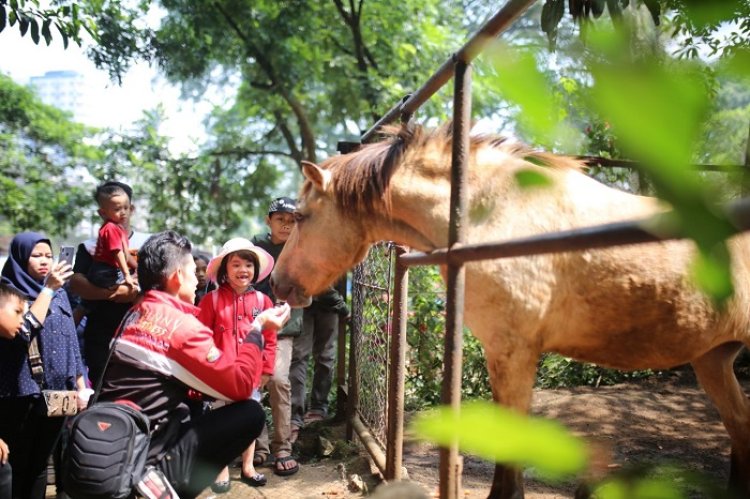 Lahan Kebun Binatang Segera Diambil Alih Pemkot Bandung