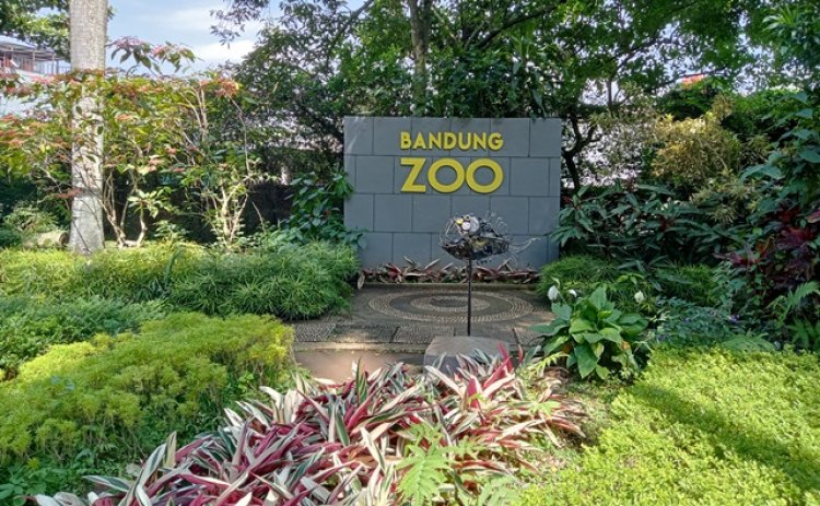 Pengambilalihan Bandung Zoo oleh Pemkot Bandung, Pengelola Bilang Lahannya Masih Status Quo