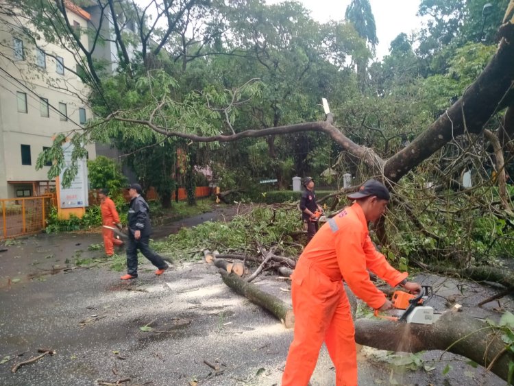 Kota Bogor Kembali Dikepung Bencana, 11 Pohon Tumbang dan 4 Kampung Banjir