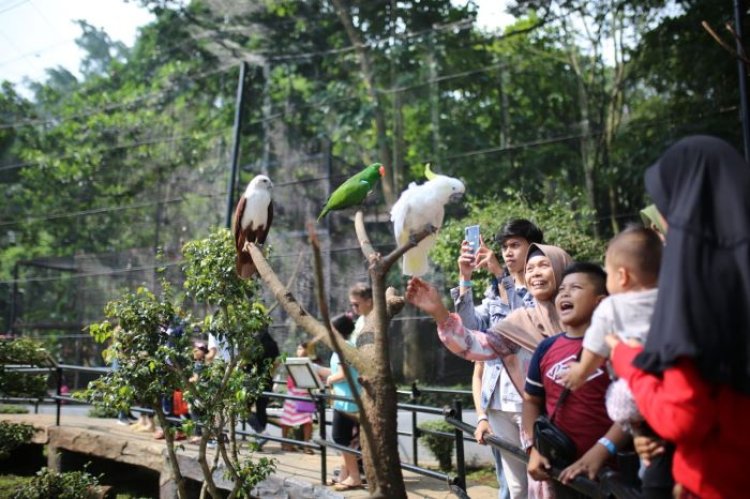 Pemkot Wacanakan Gandeng PKBI Kelola Kebun Binatang Bandung