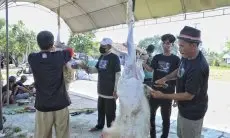 Ganjar Muda Padjajaran Potong Hewan Kurban Bersama Warga di Indramayu
