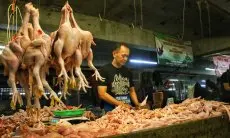 Ini Penyebab Harga Daging Ayam dan Cabai di Kota Bandung Masih Tinggi