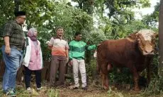 Iduladha 1444 H, Grab Indonesia Kurbankan Sapi Berbobot Satu Ton dan Ratusan Kambing