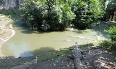 Ema Tegaskan Pemkot Bandung Hanya Amankan Aset Lahan Kebun Binatang Bandung