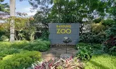 Penyegelan Kebun Binatang Bandung Tinggal Tunggu Waktu