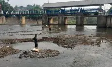 Bendung Katulampa Sentuh Nol Centimeter, Curah Hujan Kawasan Hulu Rendah