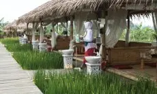 Suguhkan One Stop Wisata di Bogor, D'Sawah Resort Tempatnya Resto dan Rekreasi