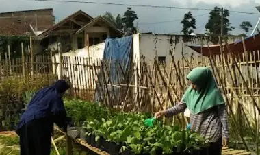 El Nino Menguat, Jabar Diprediksi Dilanda Kemarau hingga Akhir 2026