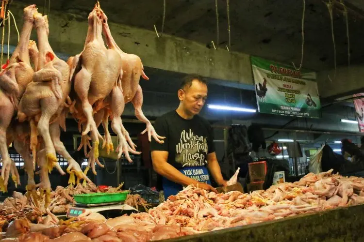 Ini Penyebab Harga Daging Ayam dan Cabai di Kota Bandung Masih Tinggi