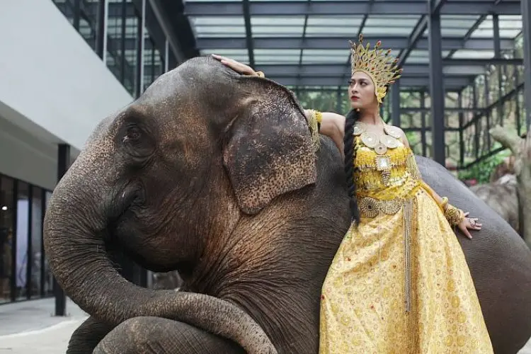 Ribuan Photografer Pencinta Satwa Ikuti IAPVC 2023