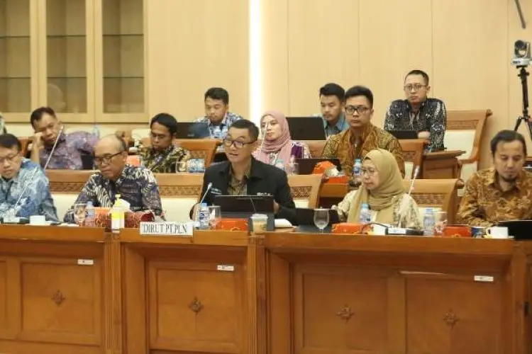 Komisi VII DPR Apresiasi PLN Mengatasi Oversupply Listrik