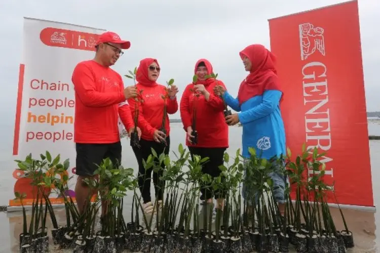 Inisiatif Plan and Plant, Generali Indonesia Luncurkan Donasi Pohon Mangrove untuk Setiap Polis