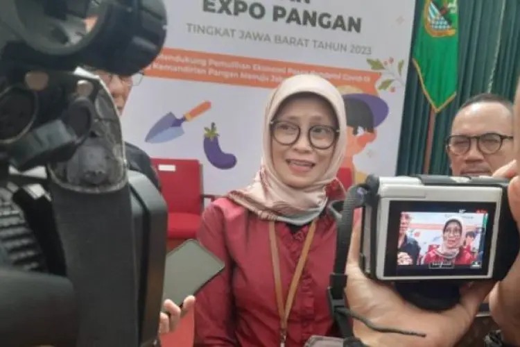 DKPP Jabar Pastikan Neraca Beras Aman Hingga Akhir Tahun