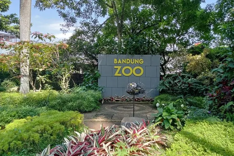 Penyegelan Kebun Binatang Bandung Tinggal Tunggu Waktu