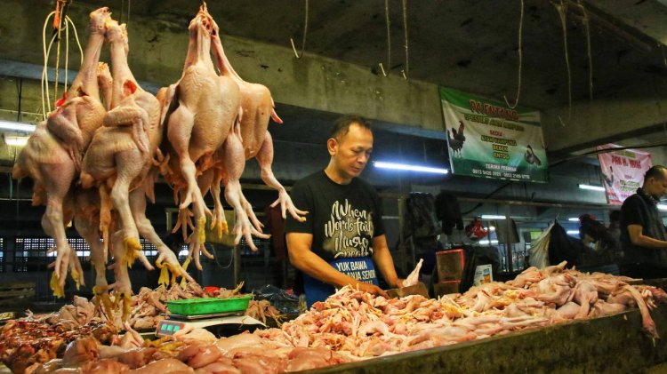 Ini Penyebab Harga Daging Ayam dan Cabai di Kota Bandung Masih Tinggi
