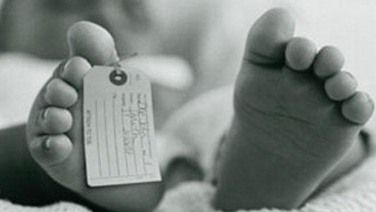 Penemuan Mayat Bayi Laki-laki di TPU Gunung Gadung Gegerkan Warga Cipaku Bogor